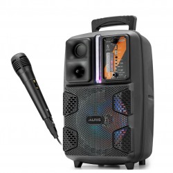 Auris K21 Karaoke Mikrofonlu Taşınabilir Bluetooth Hoparlör